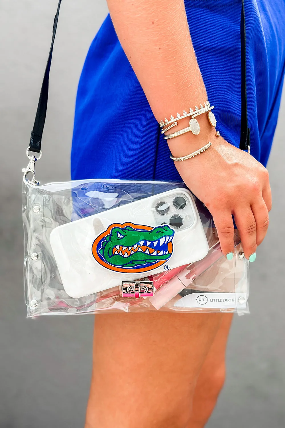 Florida Gators Clear Envelope Purse